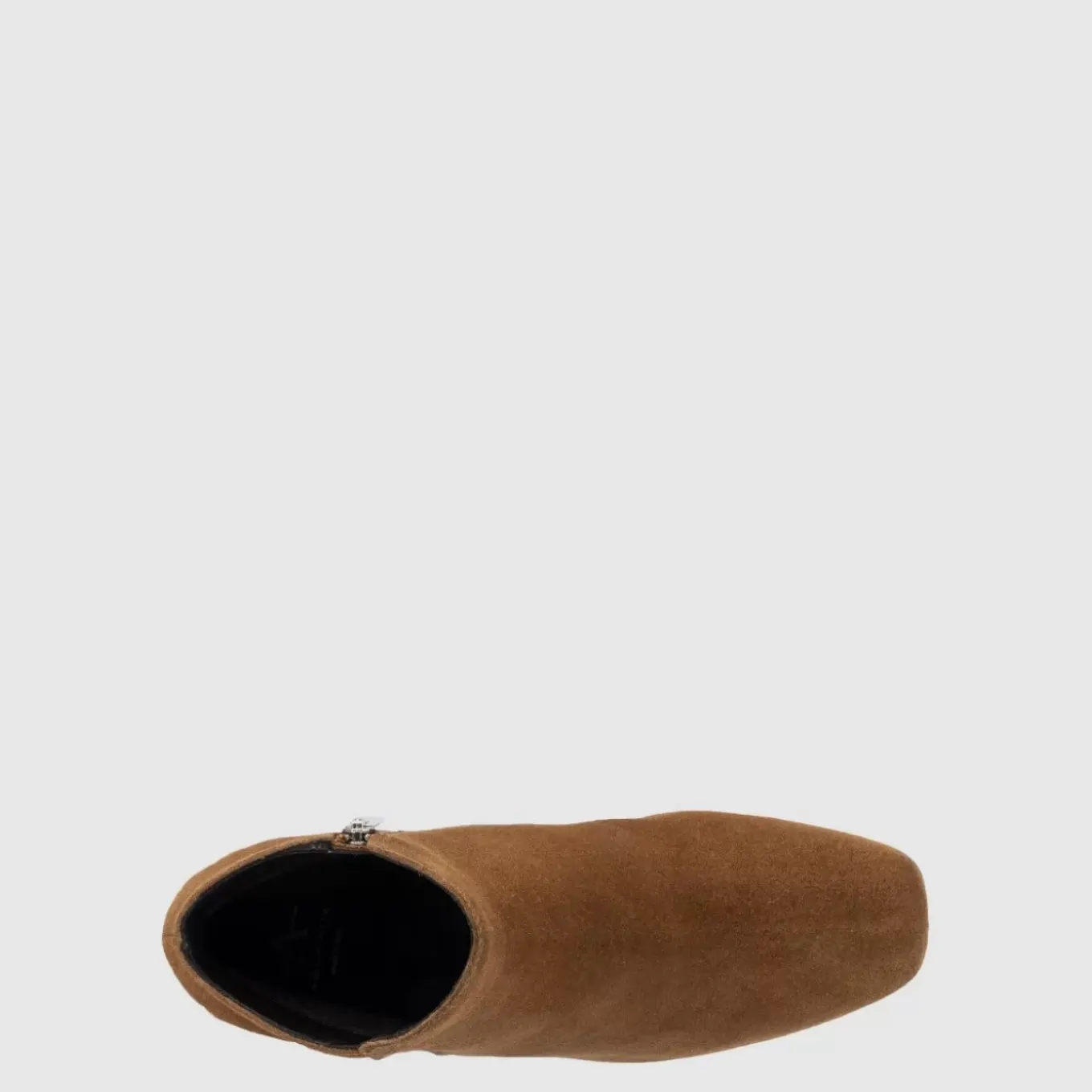 Dolora
