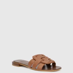 Sabella