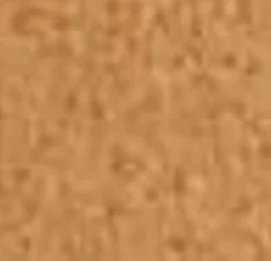 Sandi